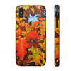 Burst Of Autumn - Snap iPhone Cases