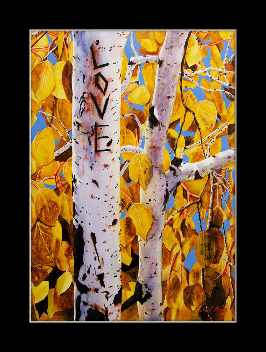 Quaking Aspens Matted Prints