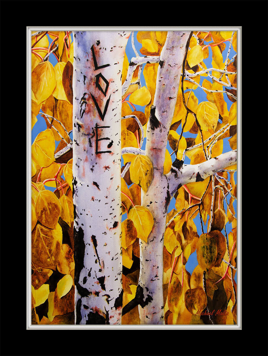 Quaking Aspens Matted Prints