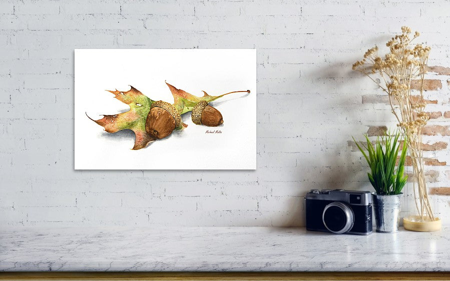 Autumn Oak And Acorns - Art Print