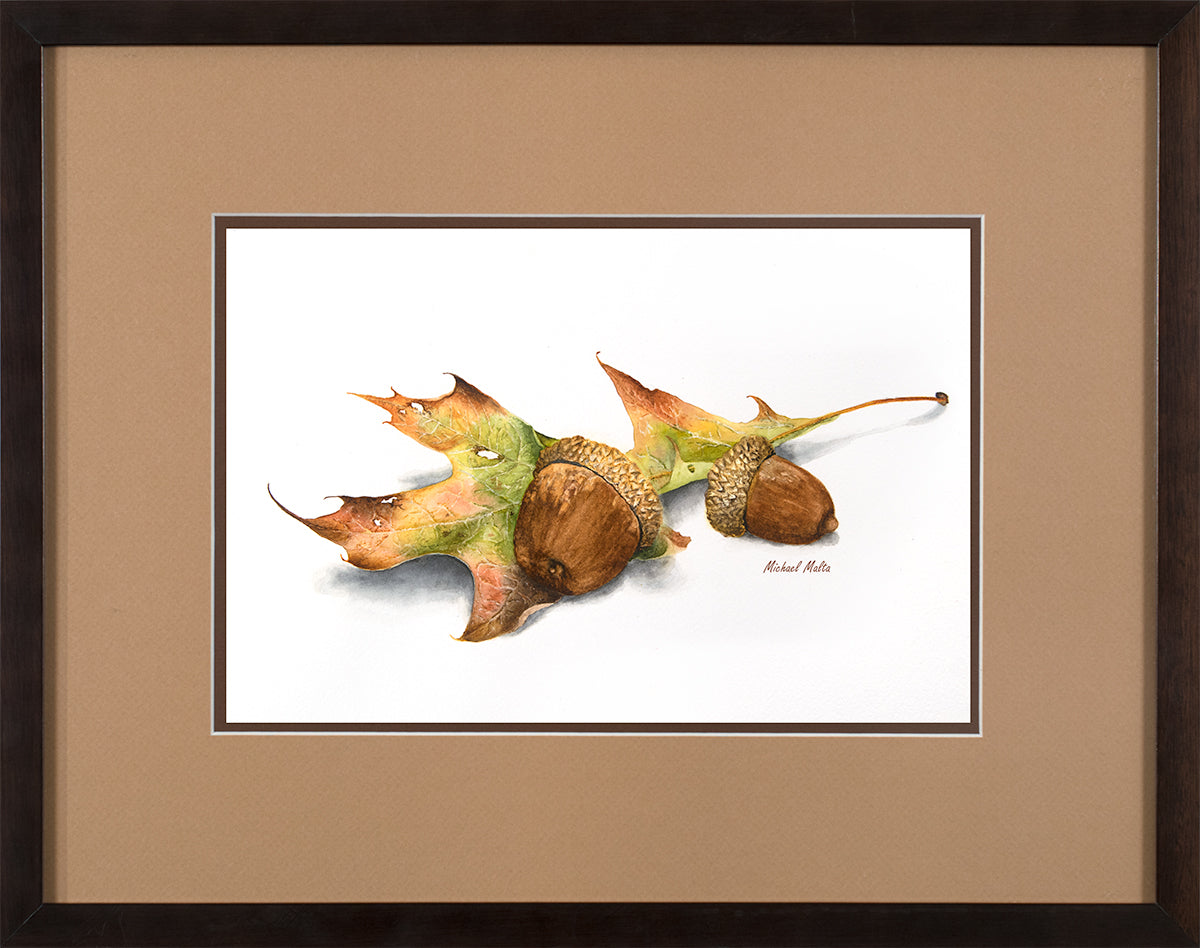 Autumn Oak and Acorns - Original