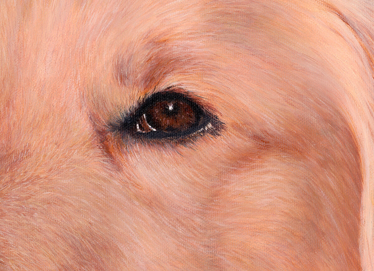 Comet - Original - SOLD