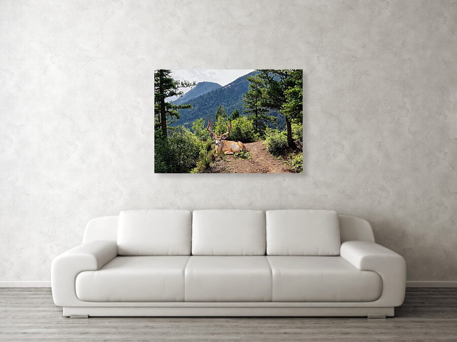 Taking A Break - Acrylic Print