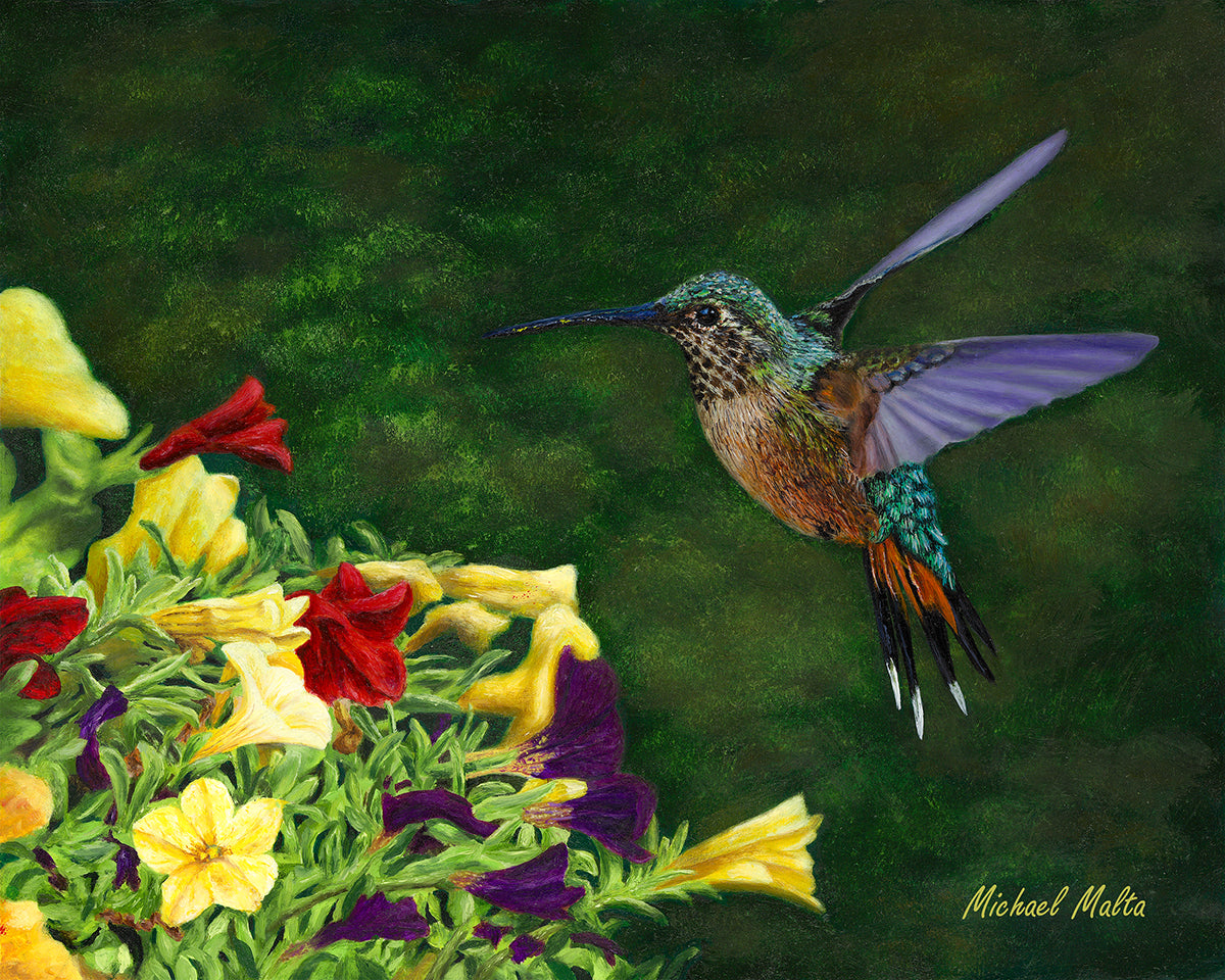 Feasting on Nectar’s Glow - Original - SOLD