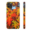 Burst Of Autumn - Snap iPhone Cases