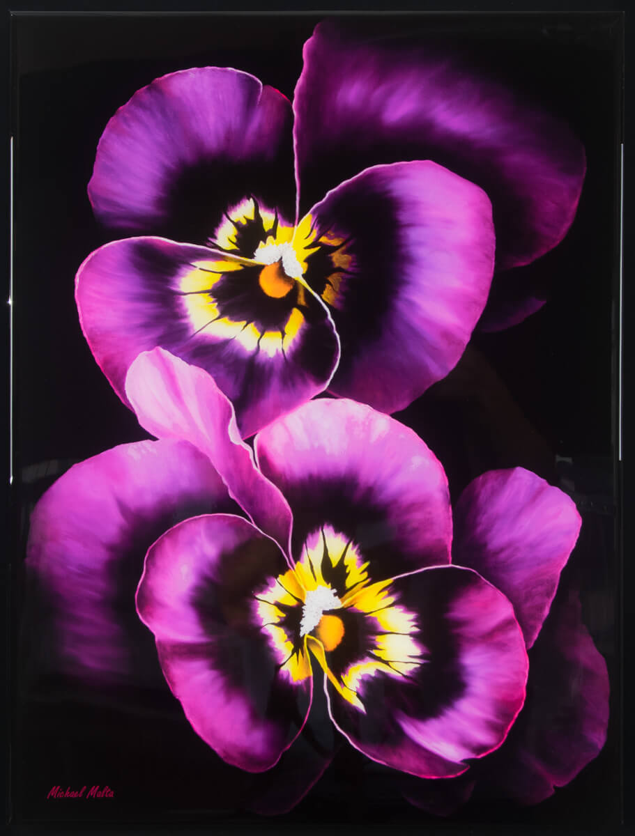 Admiration - Resin Print