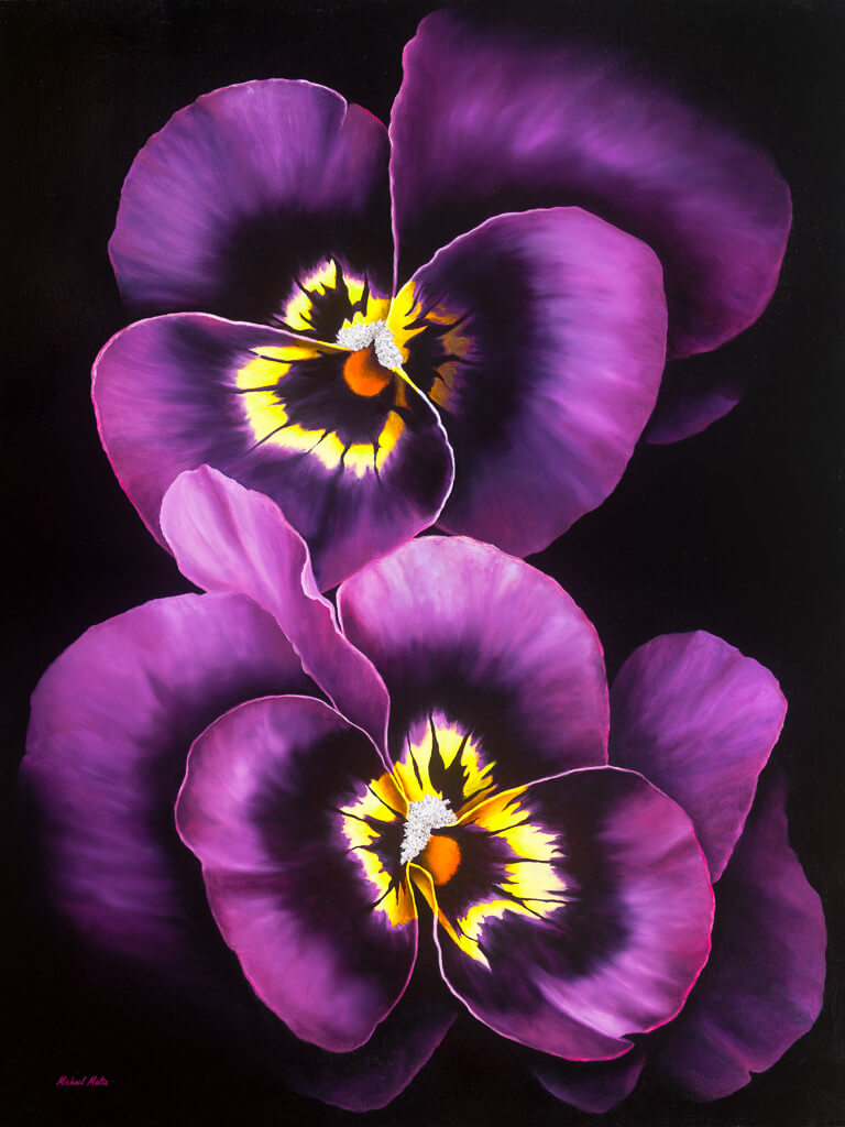 Admiration - Studio Canvas Print