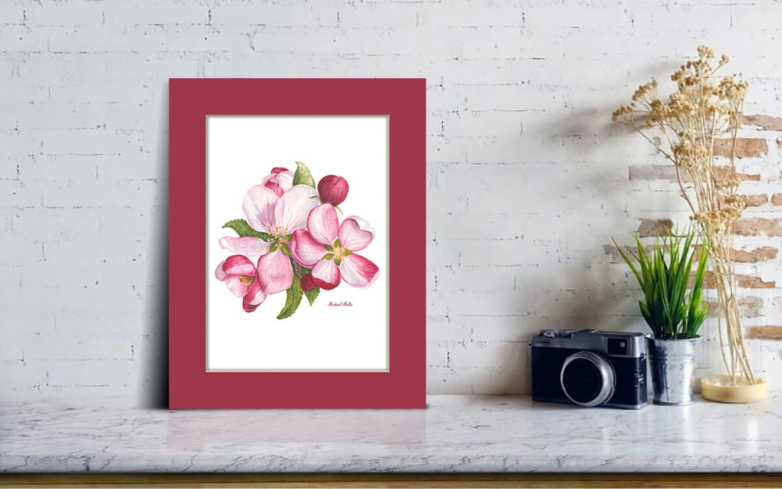 Apple Blossoms Artwork