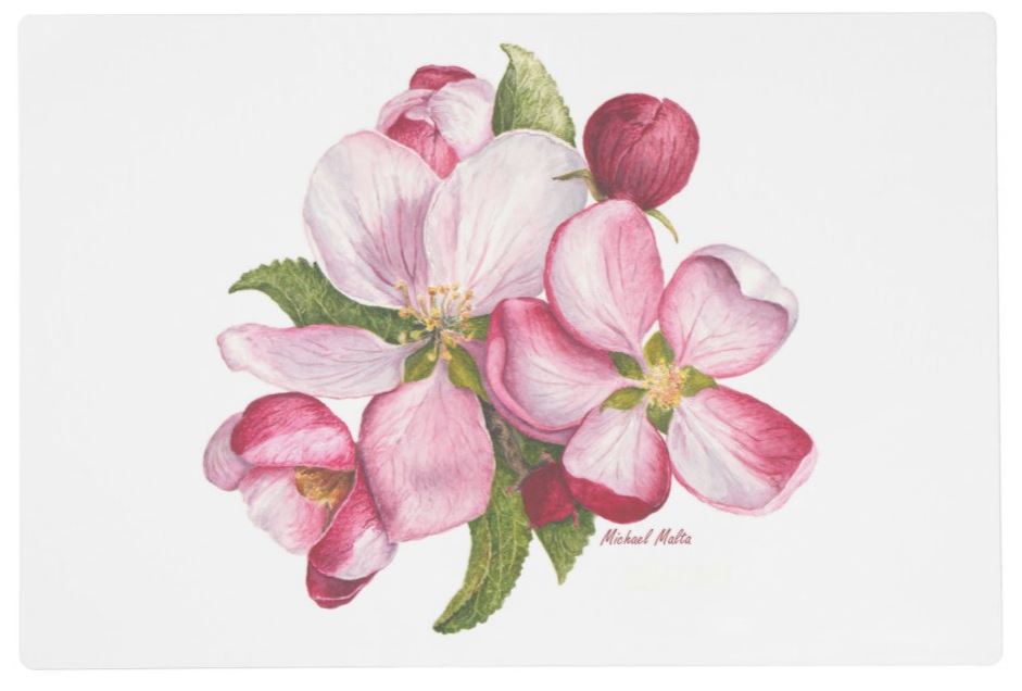 Apple Blossoms Artwork