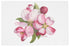 Apple Blossoms Artwork