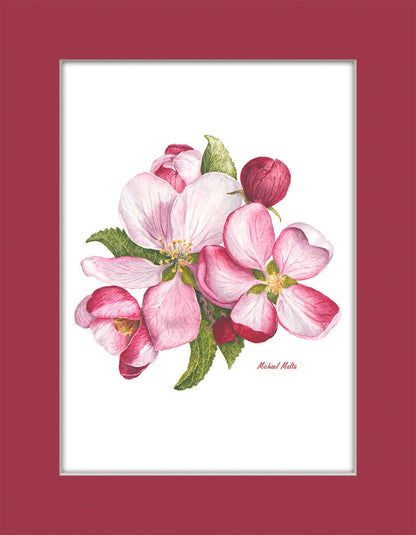 Apple Blossoms Artwork