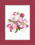 Apple Blossoms Artwork