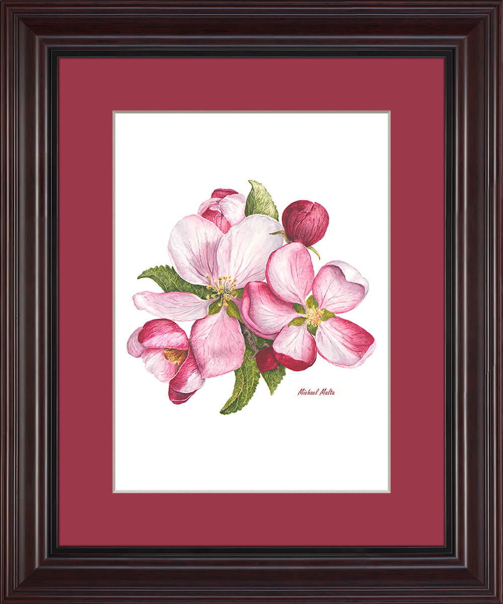 Apple Blossoms Artwork