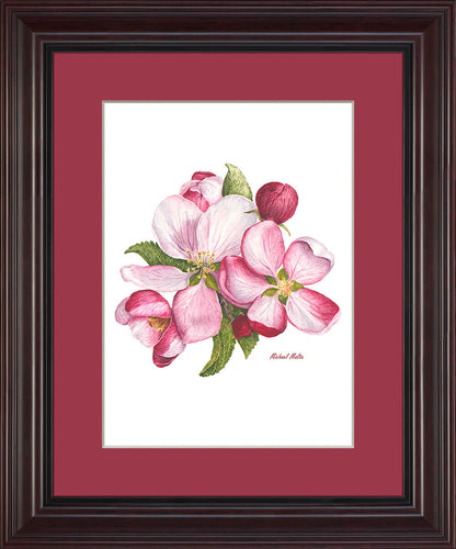 Apple Blossoms Artwork