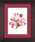 Apple Blossoms Artwork