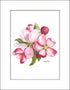 Apple Blossoms Artwork