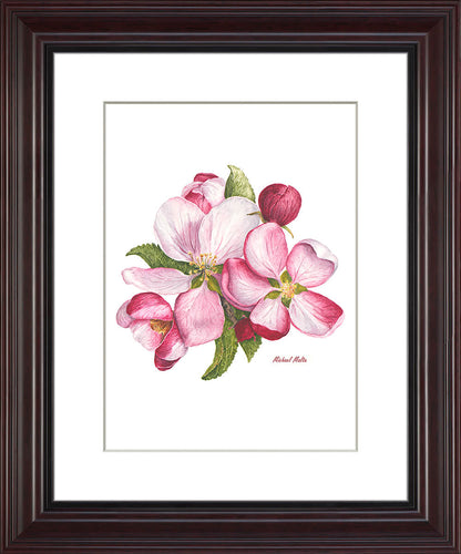Apple Blossoms Artwork