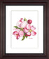 Apple Blossoms Artwork