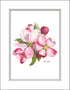 Apple Blossoms Artwork
