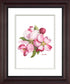 Apple Blossoms Artwork