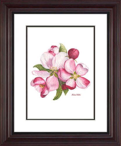 Apple Blossoms Artwork