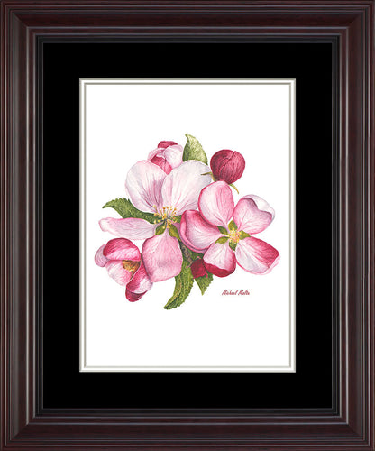 Apple Blossoms Artwork