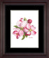 Apple Blossoms Artwork