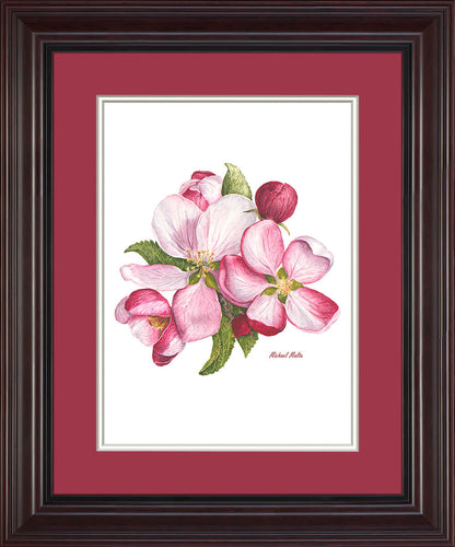 Apple Blossoms Artwork