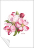 Apple Blossoms Artwork