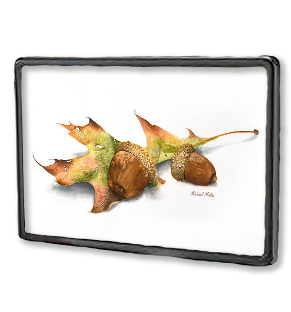Autumn Oak And Acorns - Framed Magnet