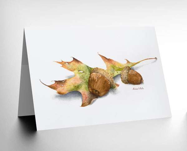 Autumn Oak and Acorns - Greeting Card