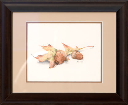Autumn Oak And Acorns - Studio Framed Print