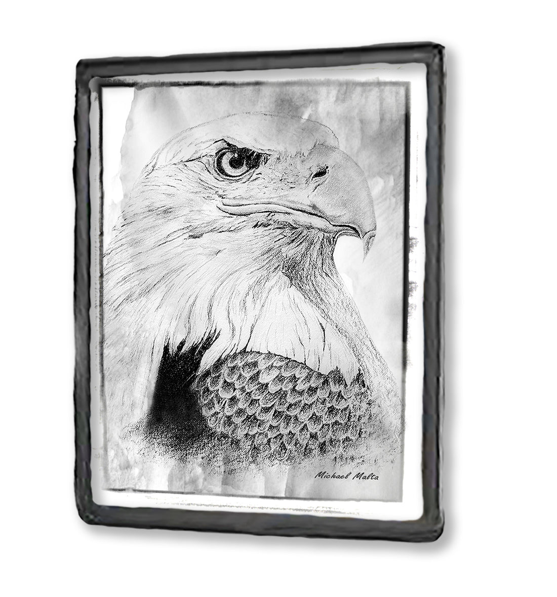Bird of Prey - Framed Magnet