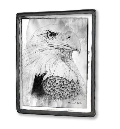 Bird of Prey - Framed Magnet
