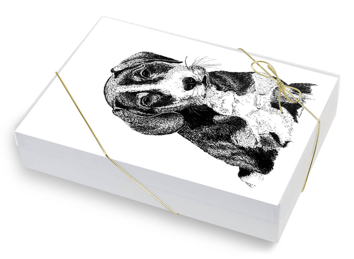 Puppy Face - Greeting Card