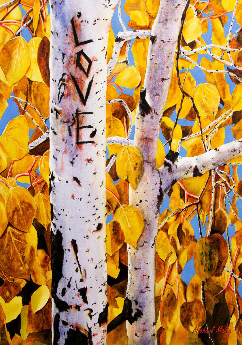 Quaking Aspens - Studio Framed Print