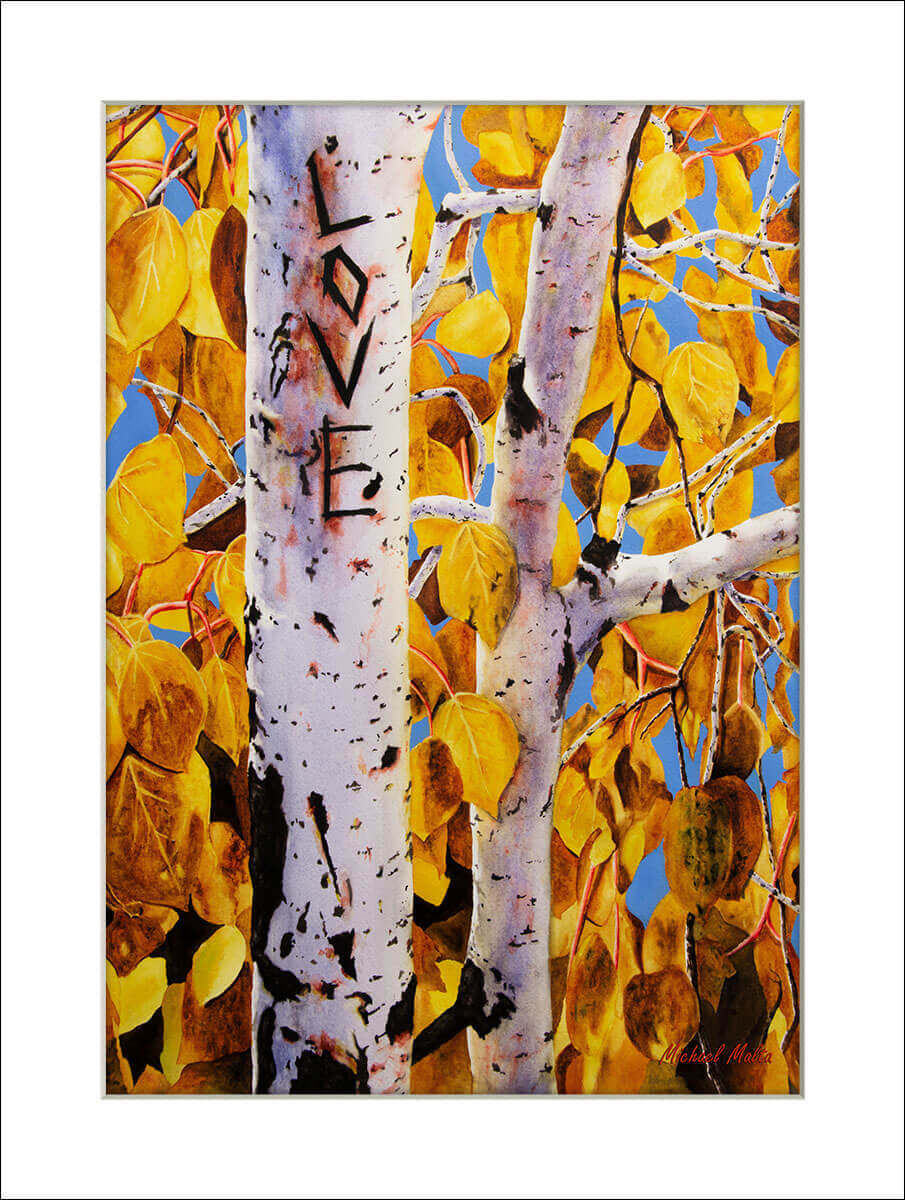 Quaking Aspens Matted Prints