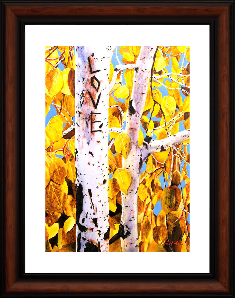 Quaking Aspens - Studio Framed Print