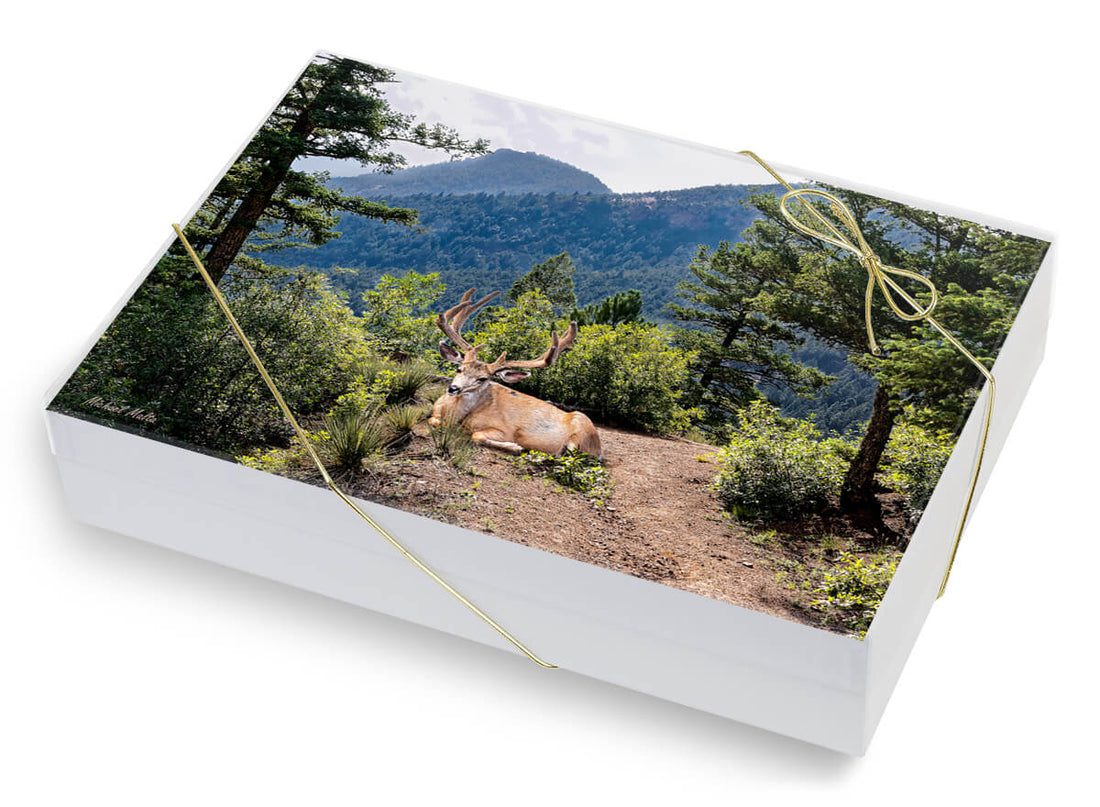 Taking a Break - Greeting Card