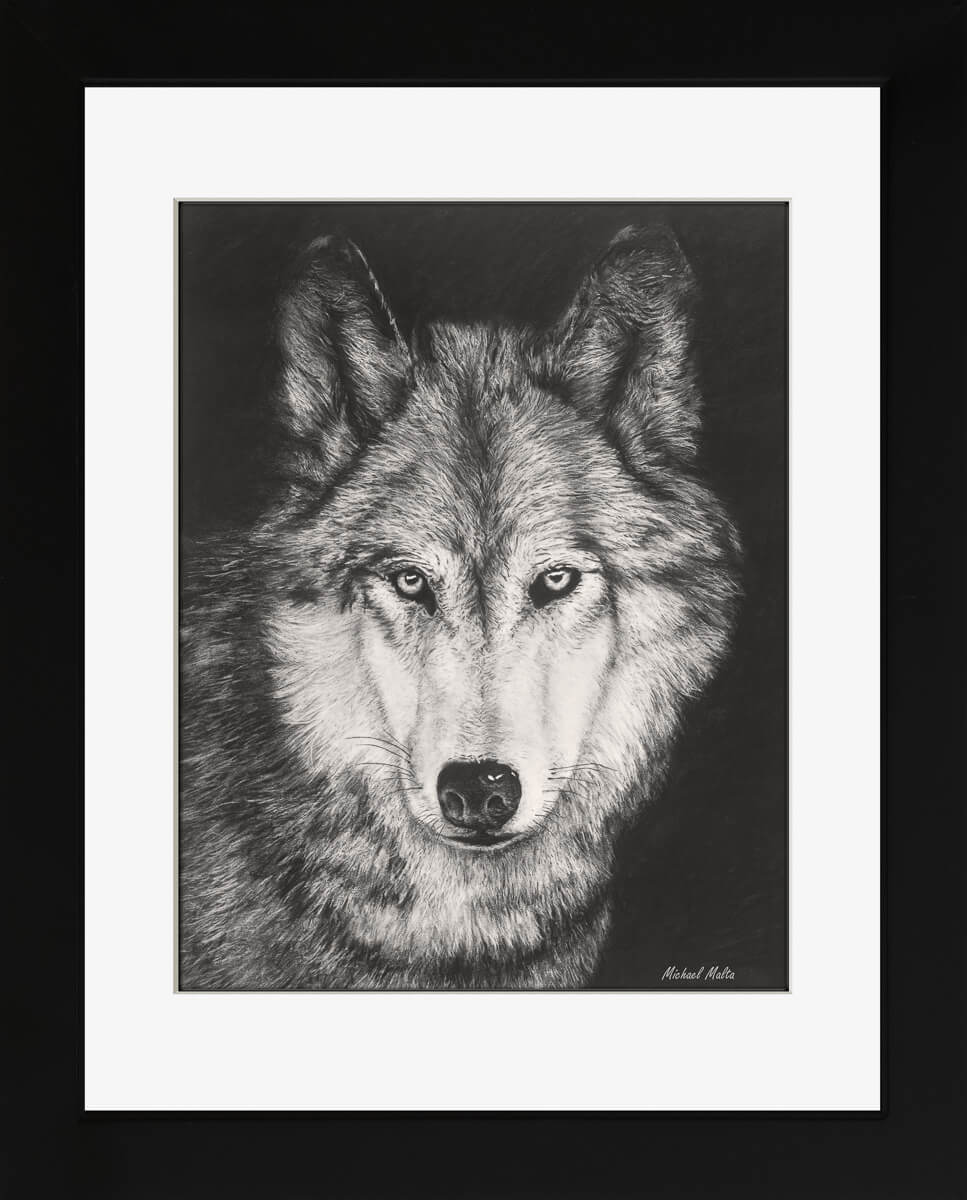 The Night Watch - Studio Framed Print