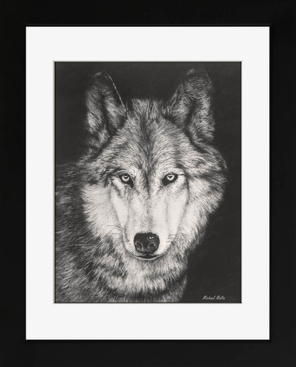 The Night Watch - Studio Framed Print