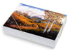 Trail in the High Country - Greeting Card