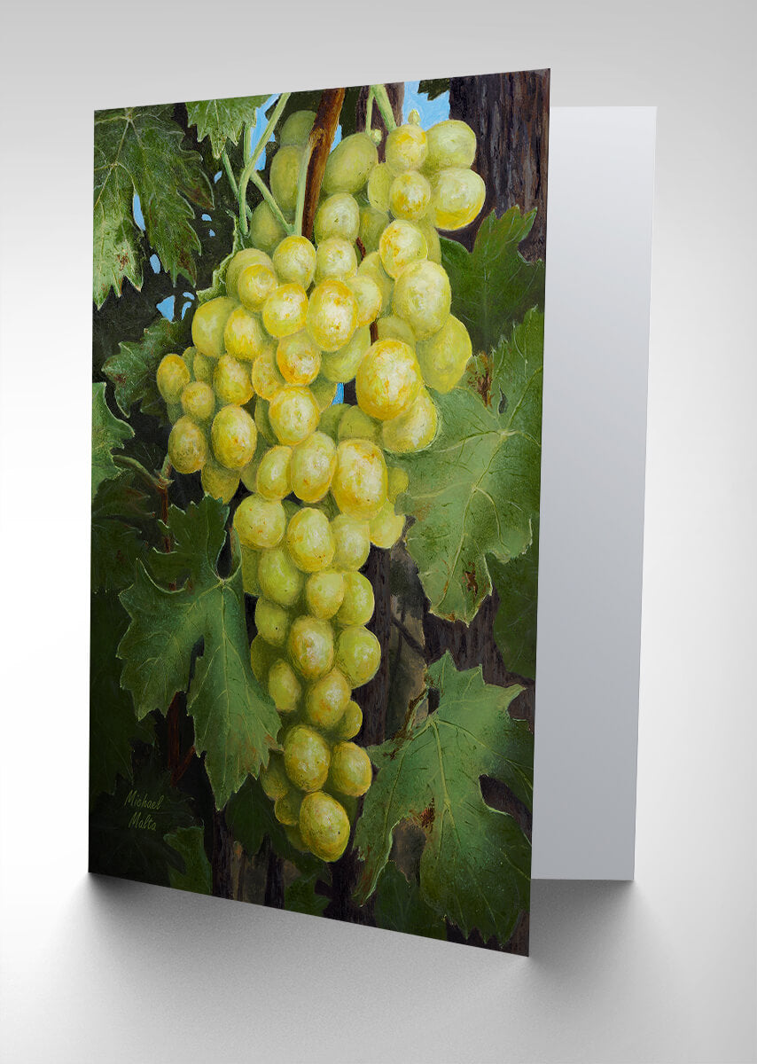 Uva Bianca - Greeting Card