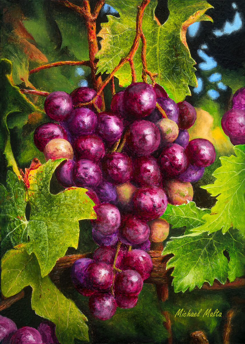 Uva Rossa - Studio Canvas Print