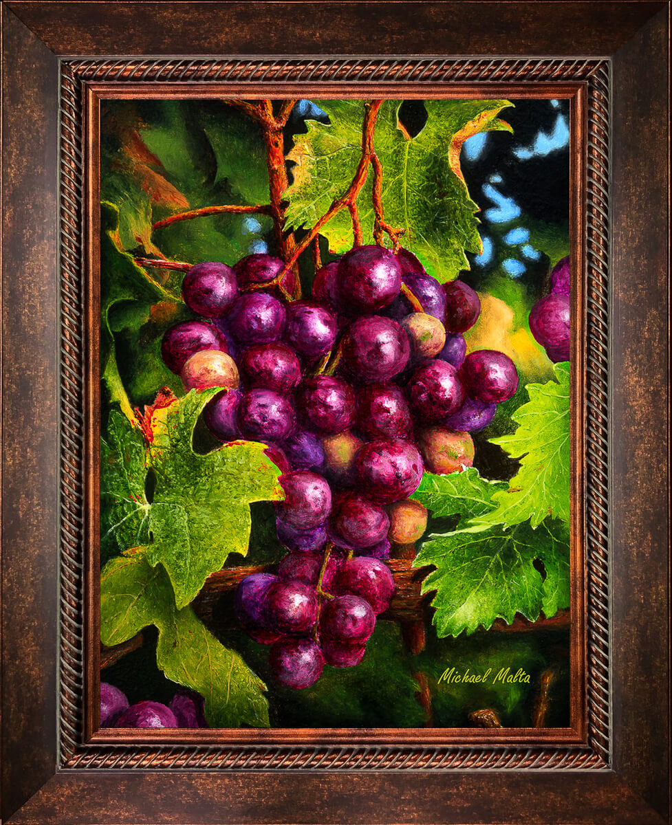 Uva Rossa - Studio Canvas Print