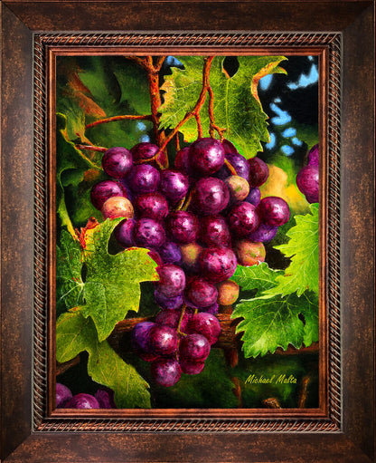 Uva Rossa - Studio Canvas Print