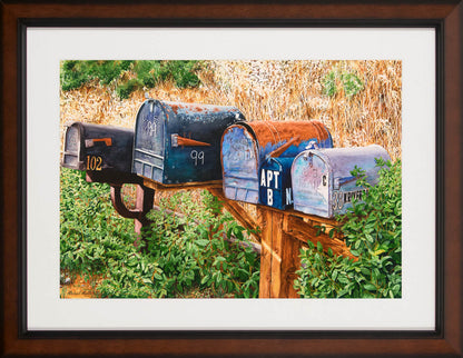 You Got Mail - Studio Framed Print