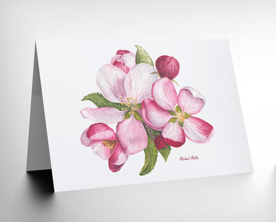 Apple Blossoms Artwork