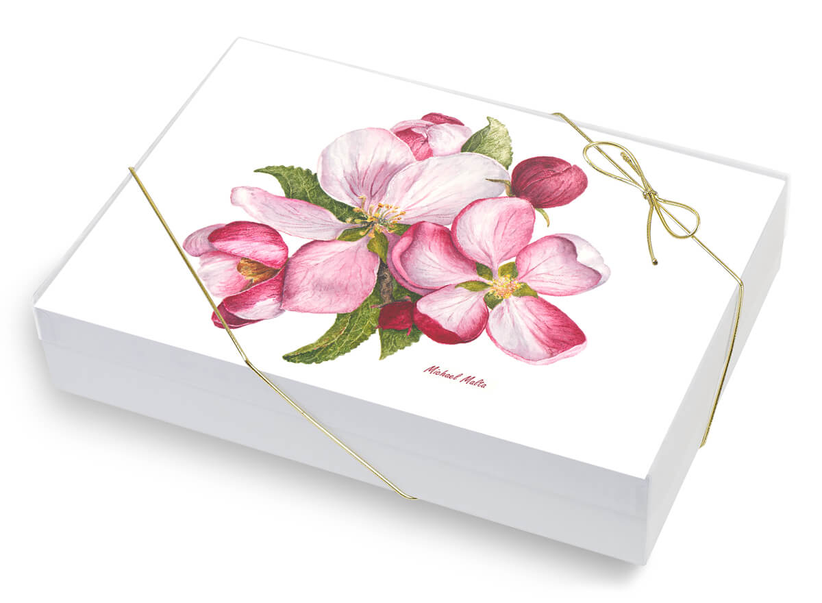 Apple Blossoms Artwork