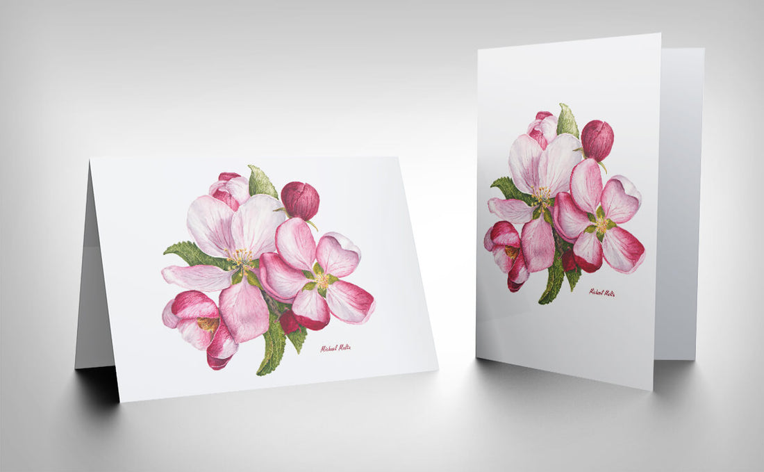 Apple Blossoms Artwork